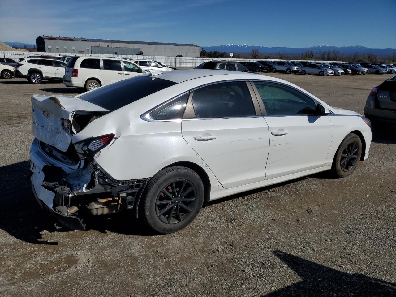 2019 Hyundai Sonata - Image 3