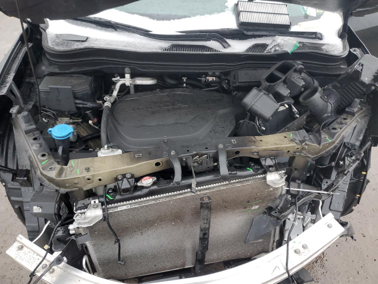 5FNYF6H91MB040036 HONDA PILOT 2021