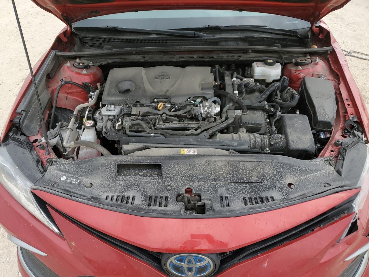 4T1C31AK3PU058547 TOYOTA CAMRY 2023