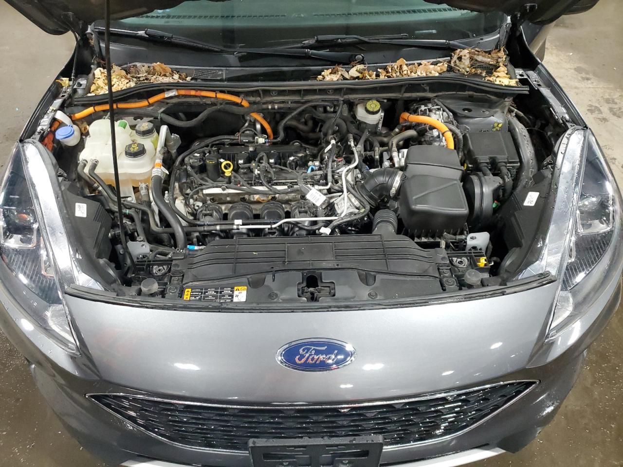 1FMCU9CZ5MUA11764 FORD ESCAPE 2021