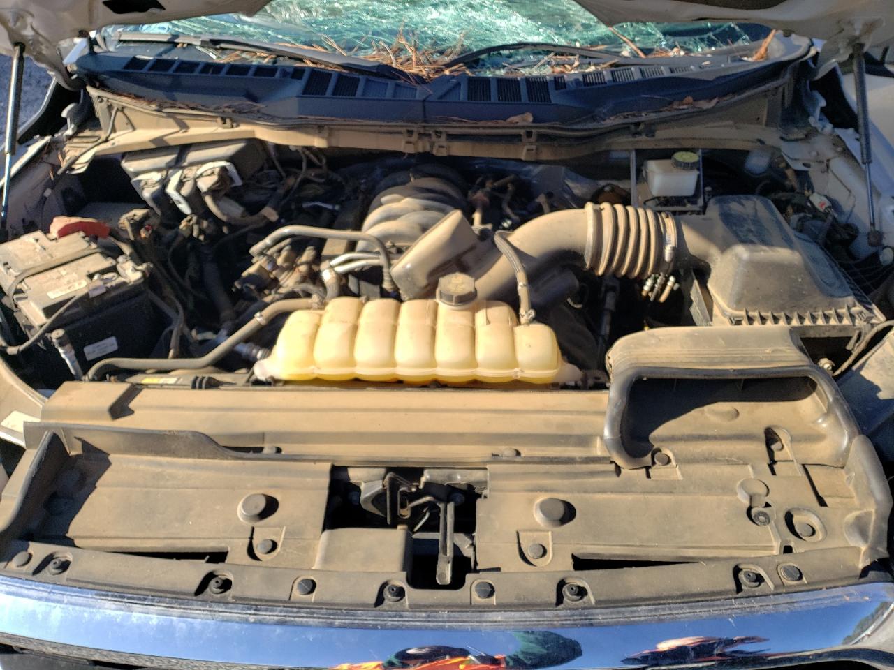 1FTFW1E5XMKE57332 FORD F-150 2021