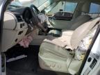 Haslet, TX에서 판매 중인 2017 Lexus Gx 460 - Front End