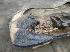 Cahokia Heights, IL에서 판매 중인 2022 Brp Jetski - Water/Flood