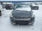 2016 Ford Escape Se за продажба в Woodhaven, MI - Mechanical