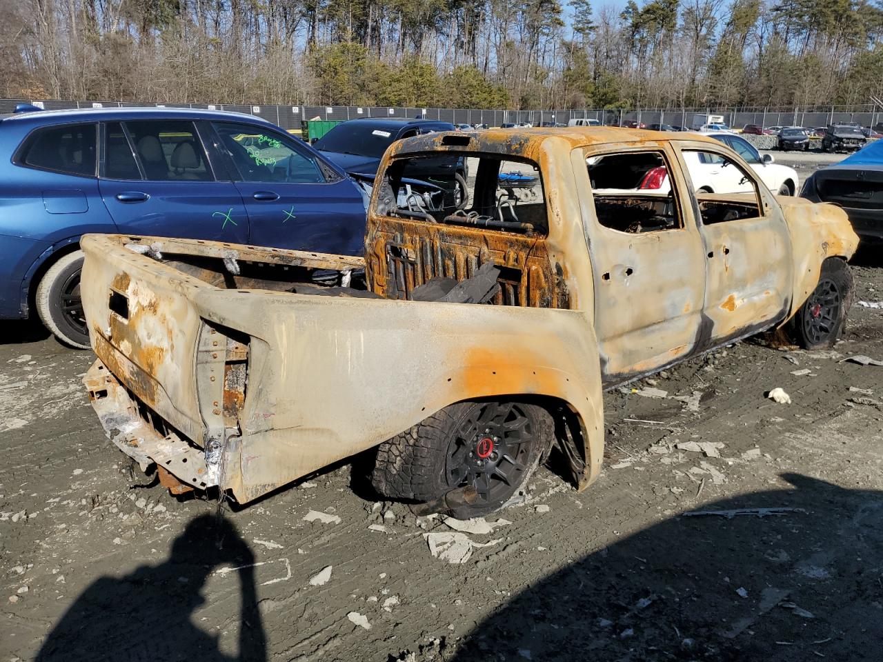 3TMCZ5AN9PM623344 TOYOTA TACOMA 2023