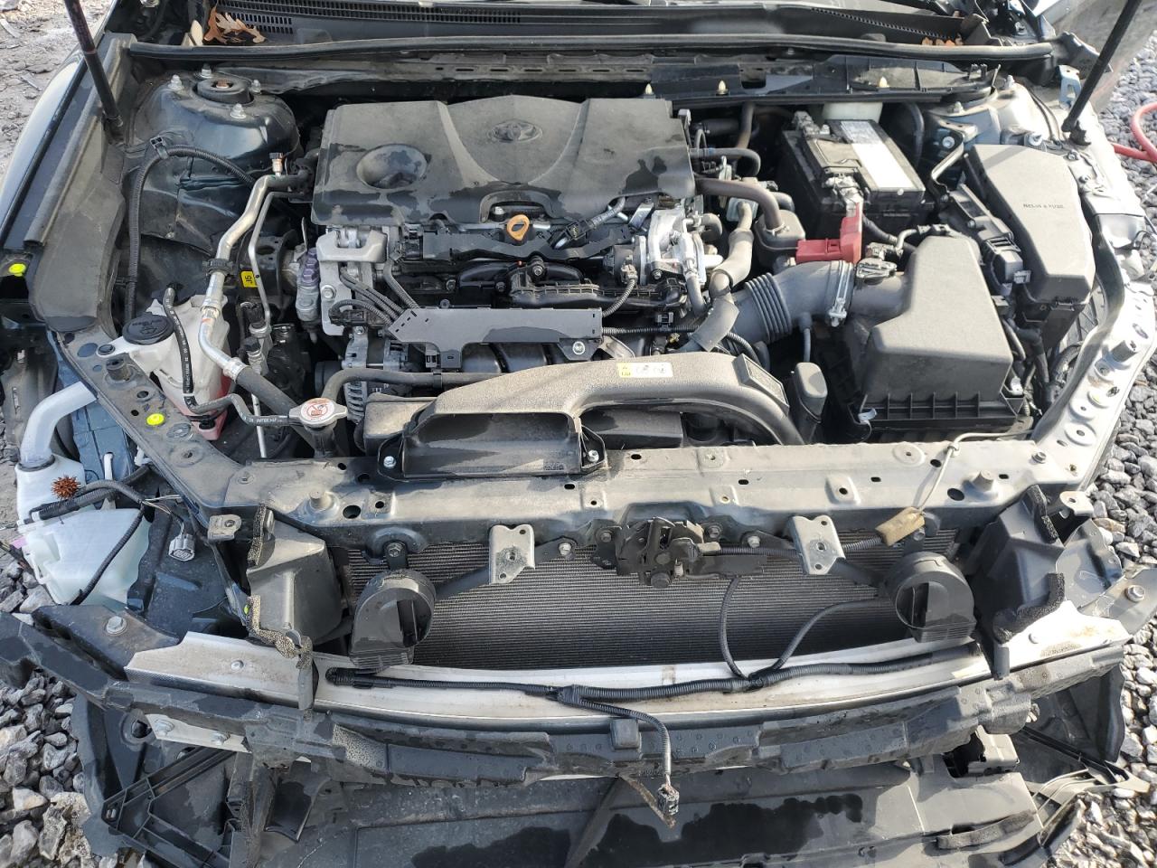 4T1G11AK4LU502732 TOYOTA CAMRY 2020