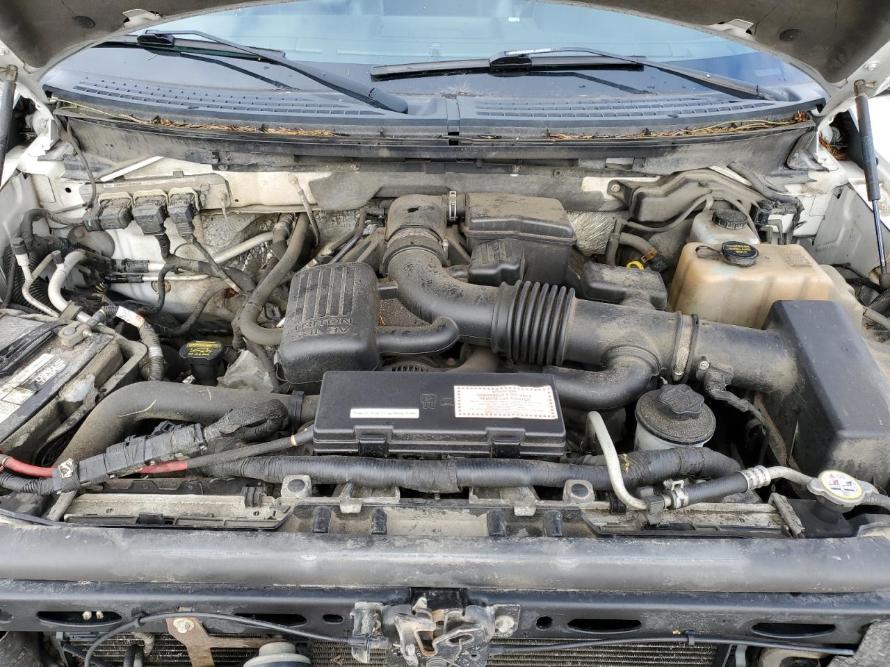 2010 Ford F-150 - Image 11