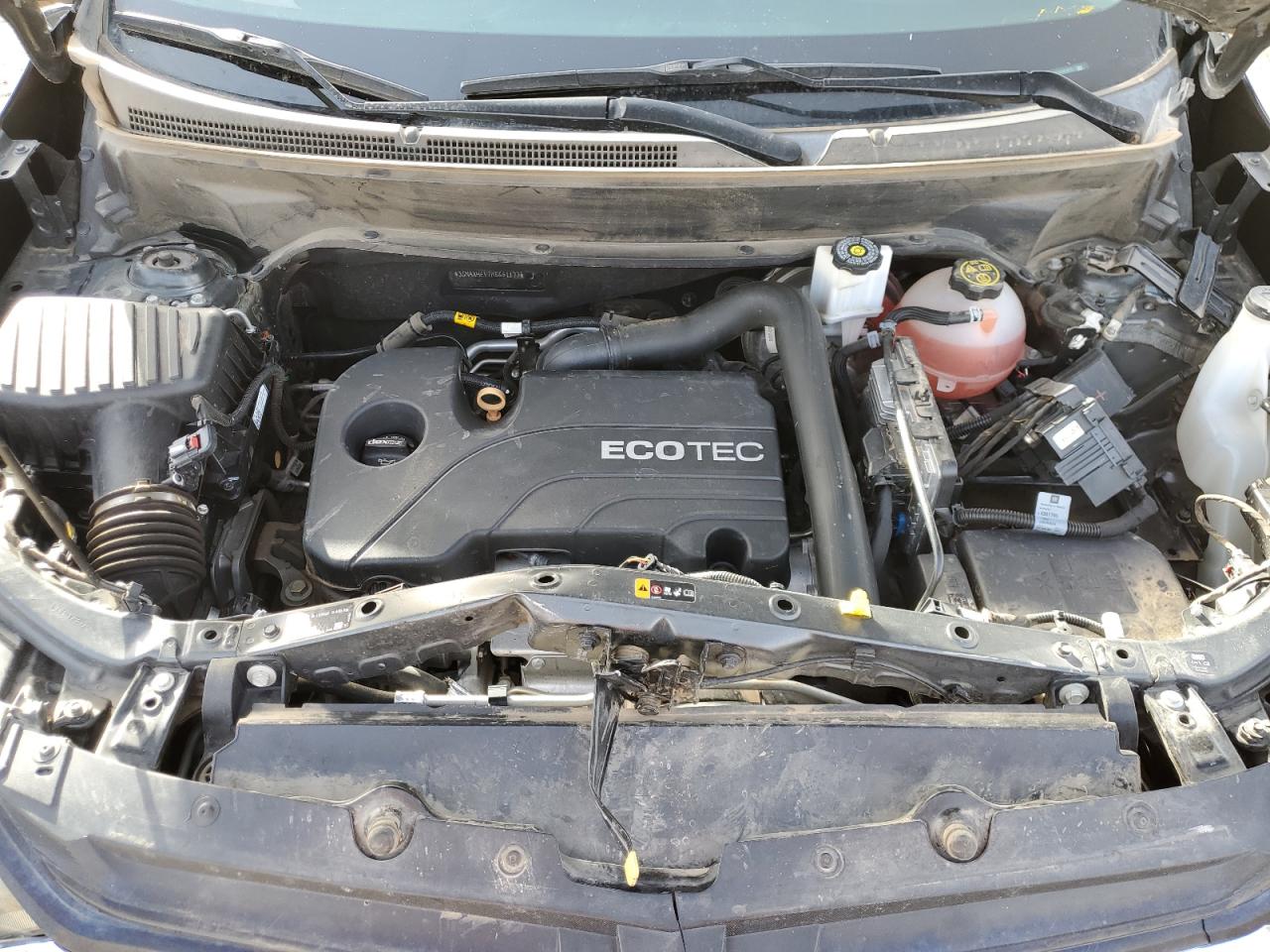 3GNAXHEV7KS651177 CHEVROLET EQUINOX 2019