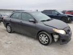 2010 Toyota Corolla Base de vânzare în Walton, KY - Front End