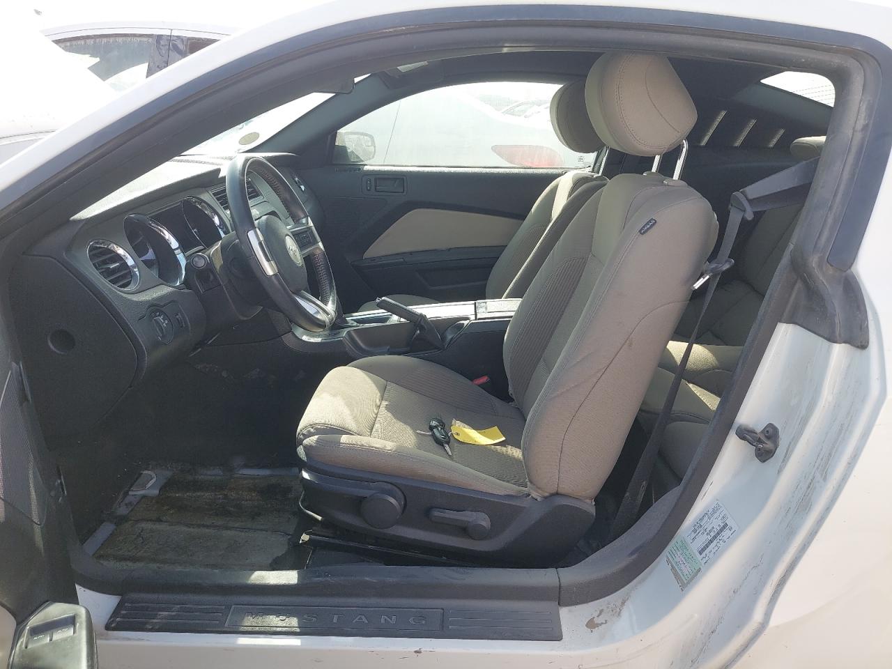 1ZVBP8AM1D5237641 - 2013 FORD MUSTANG - #45436755