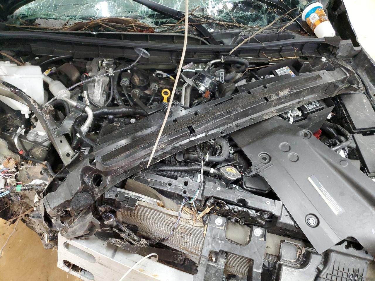 1N4BL4CV6SN310177 NISSAN ALTIMA 2025