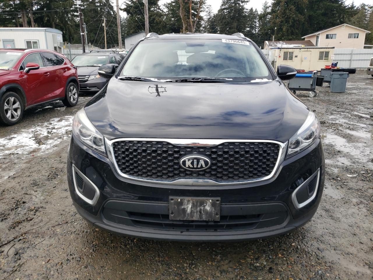 2017 Kia Sorento - Image 5