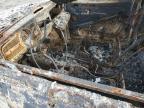 1967 Volkswagen Beetle   zu verkaufen in Van Nuys, CA - Burn