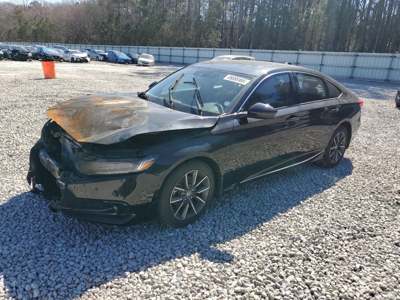 1HGCV1F51NA062338 HONDA ACCORD 2022