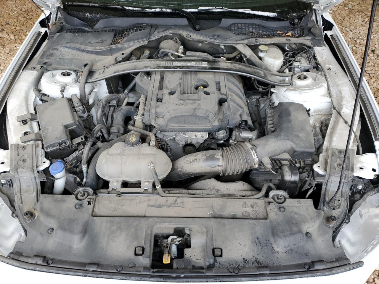 1FA6P8TDXL5190311 FORD ALL Models 2020