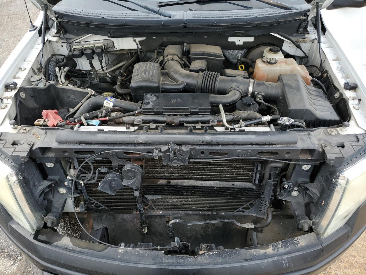 2010 Ford F-150 - Image 11