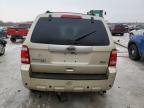 2010 Ford Escape Limited за продажба в Wayland, MI - Front End