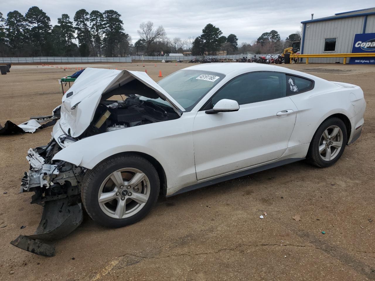 2019 Ford Mustang - Image 1