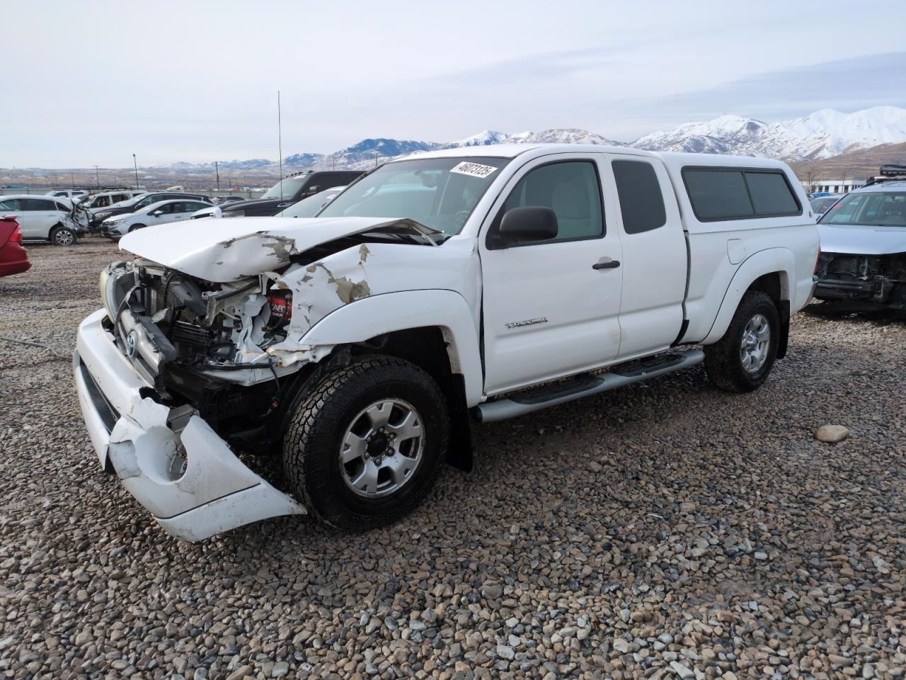 2010 Toyota Tacoma - Image 1