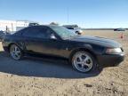 1999 Ford Mustang  на продаже в Adelanto, CA - Minor Dent/Scratches