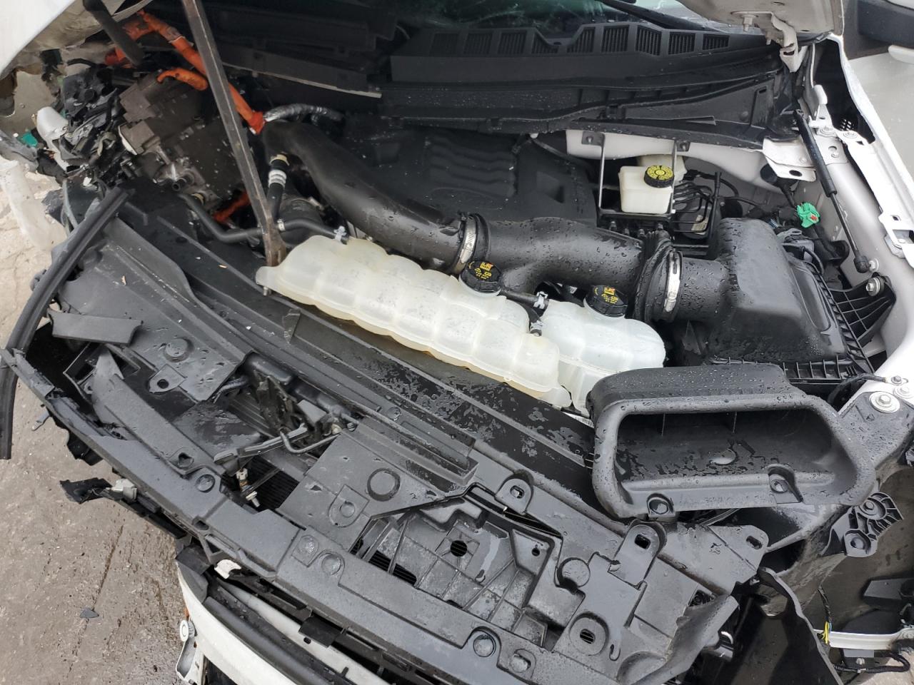 1FTFW1ED2PFA11003 FORD F-150 2023