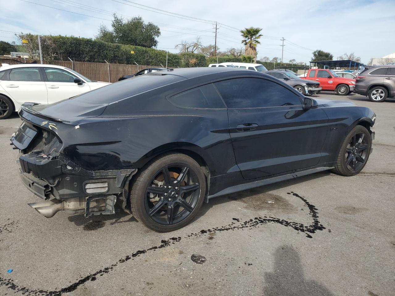 1FA6P8CF1K5118865 FORD MUSTANG 2019