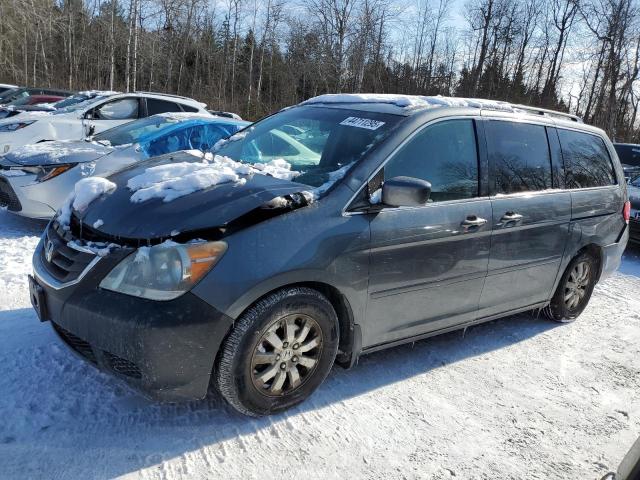 2010 HONDA ODYSSEY EXL for sale at Copart ON - COOKSTOWN