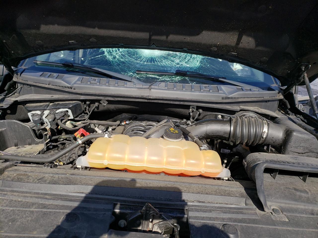 1FTEW1E54JFB74361 FORD F-150 2018
