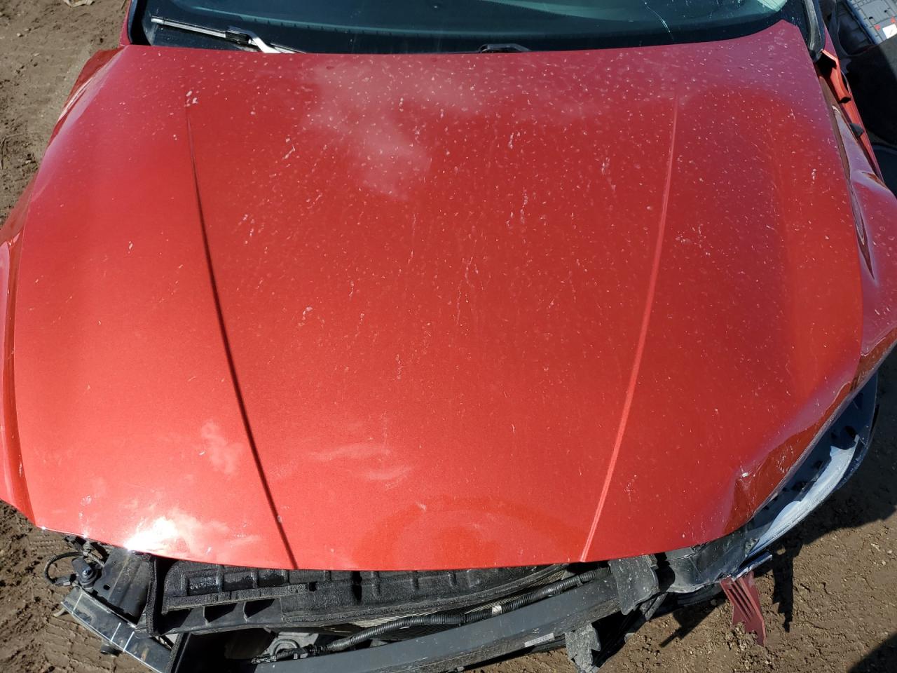 2021 Hyundai Elantra - Image 12