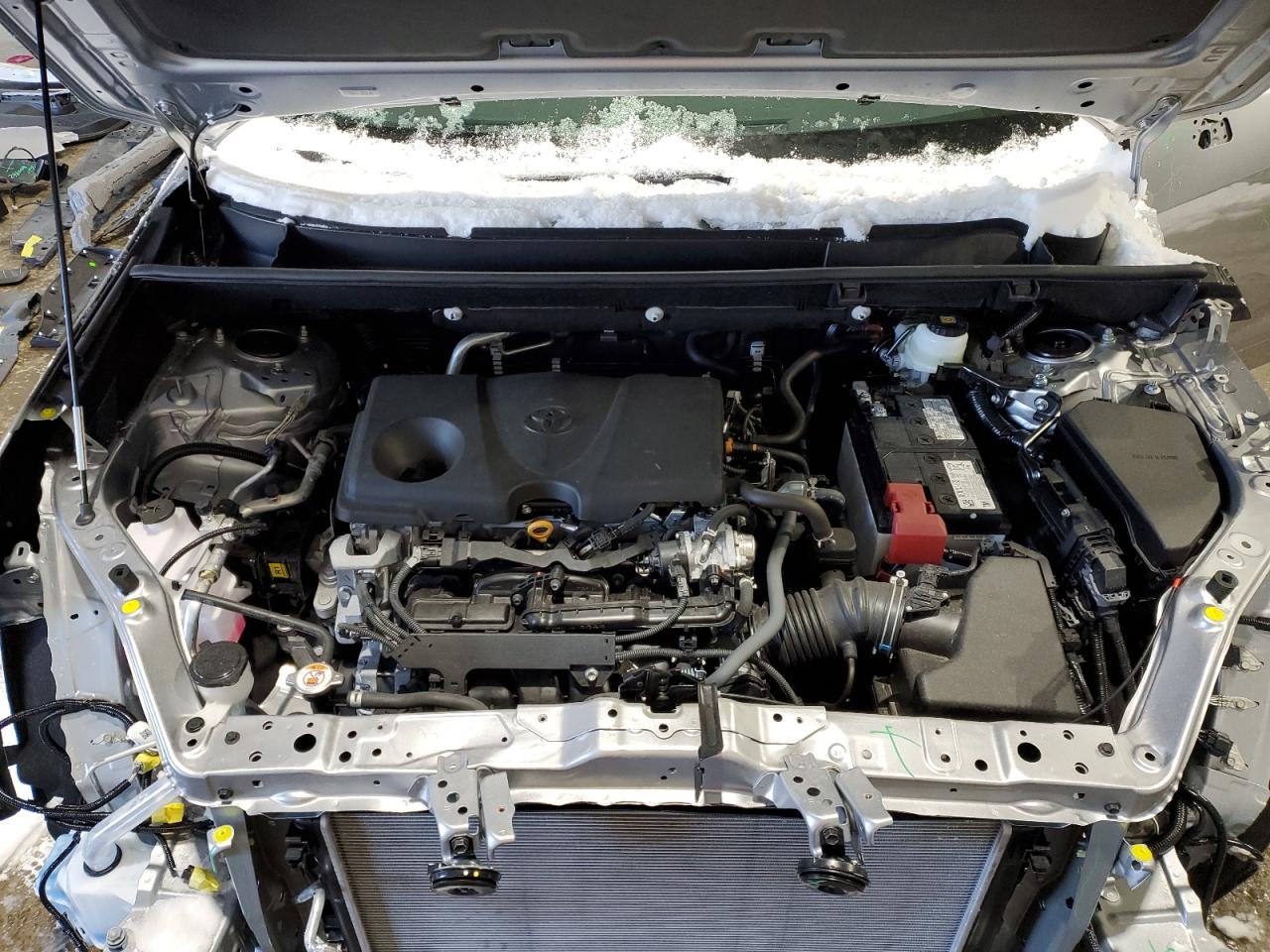 2T3F1RFV6RC466251 TOYOTA RAV4 2024