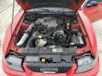 2004 Ford Mustang    for Sale in Arcadia, FL - Front End