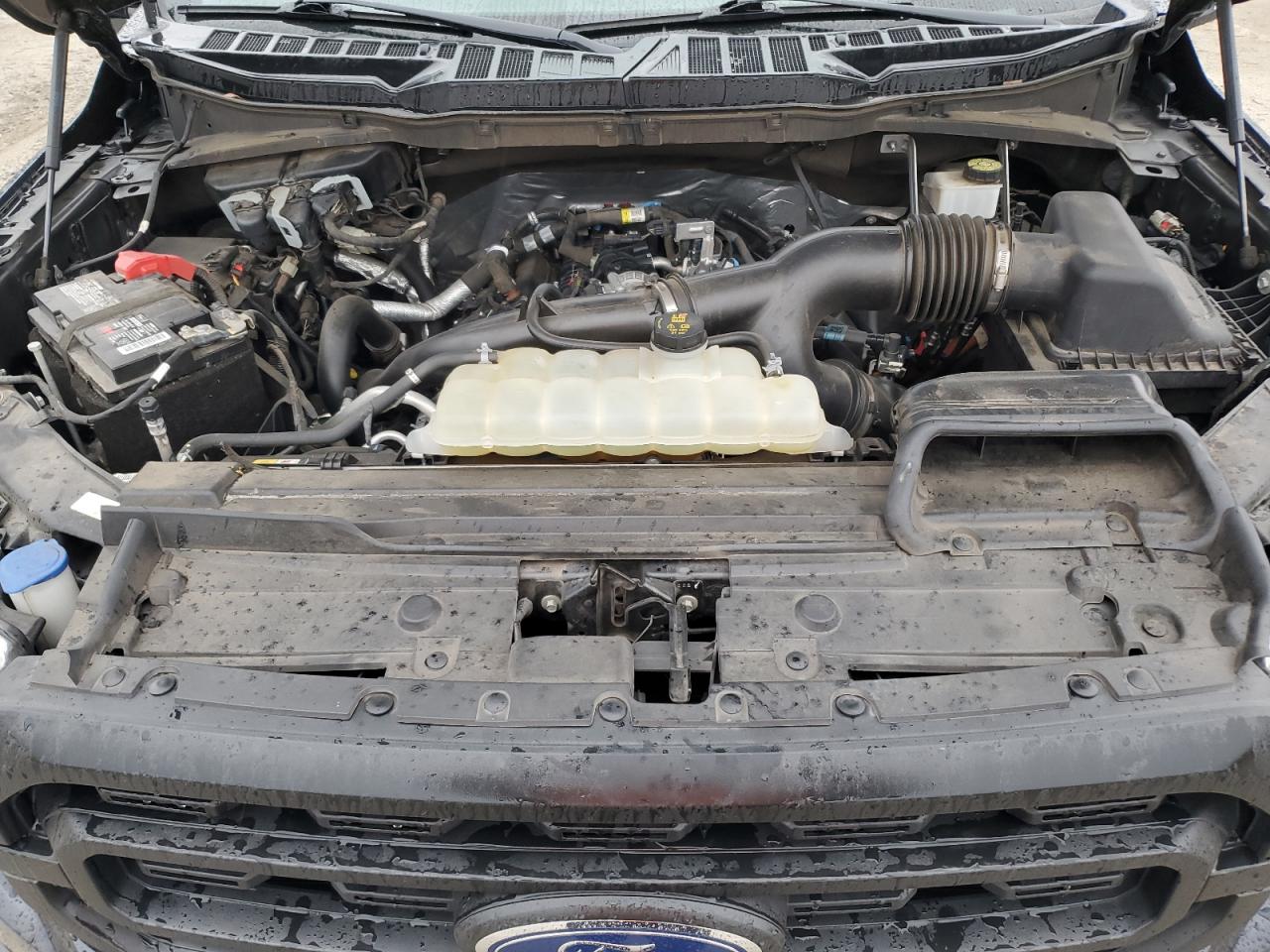 1FTEW1EP0MKE99909 FORD F-150 2021