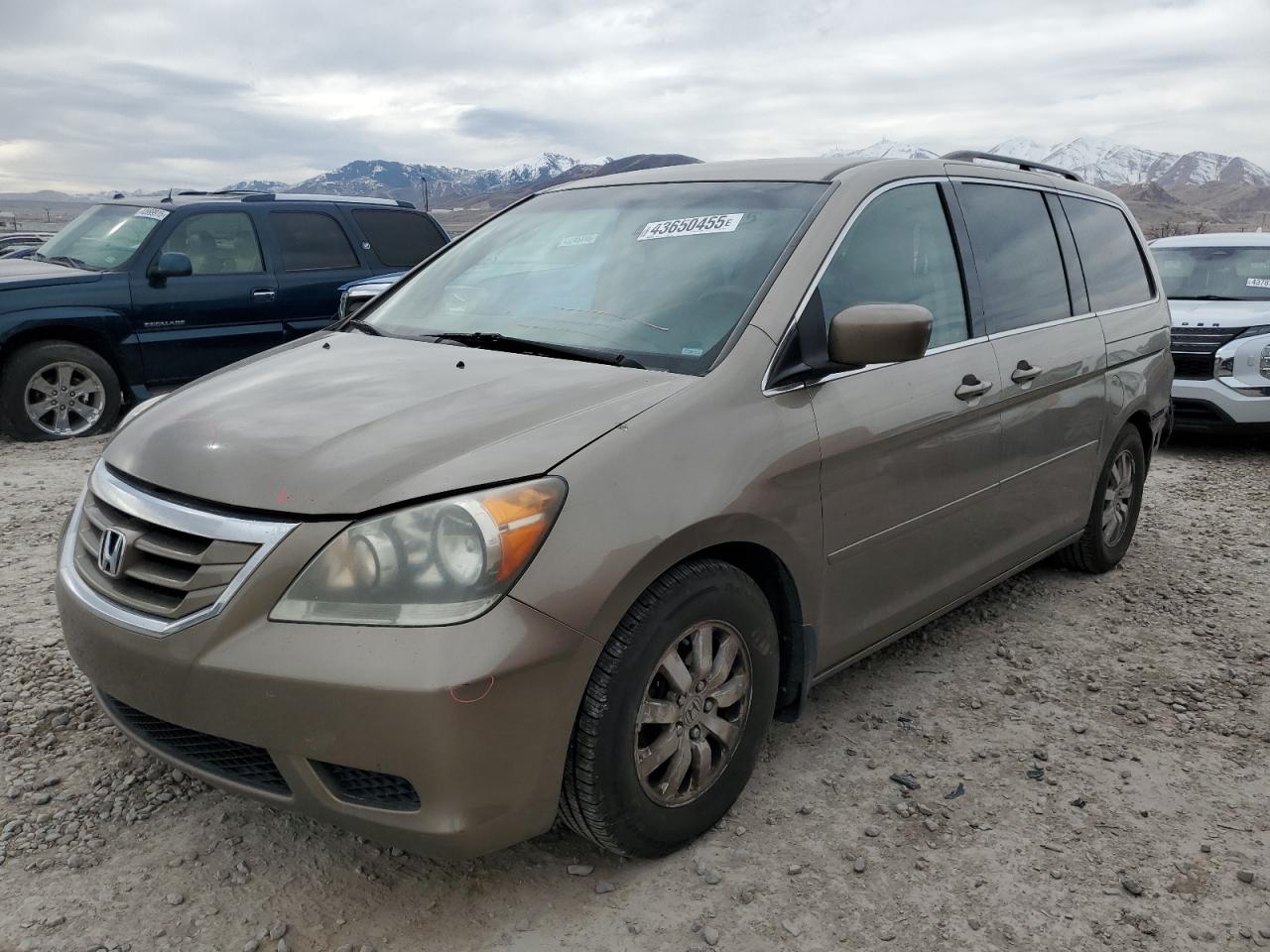 2009 Honda Odyssey - Image 1