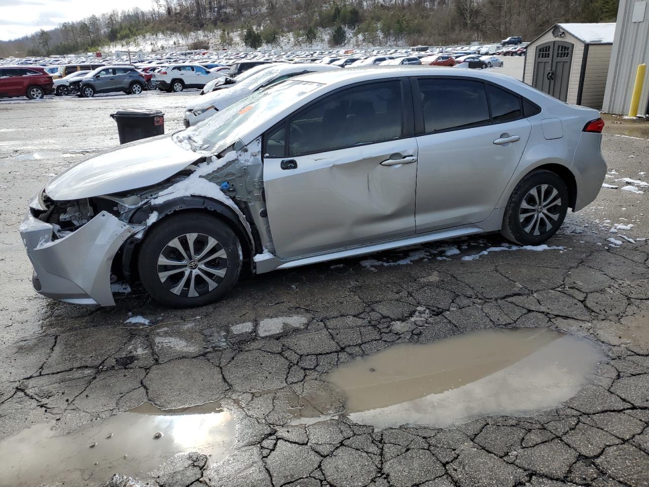 2021 Toyota Corolla - Image 1