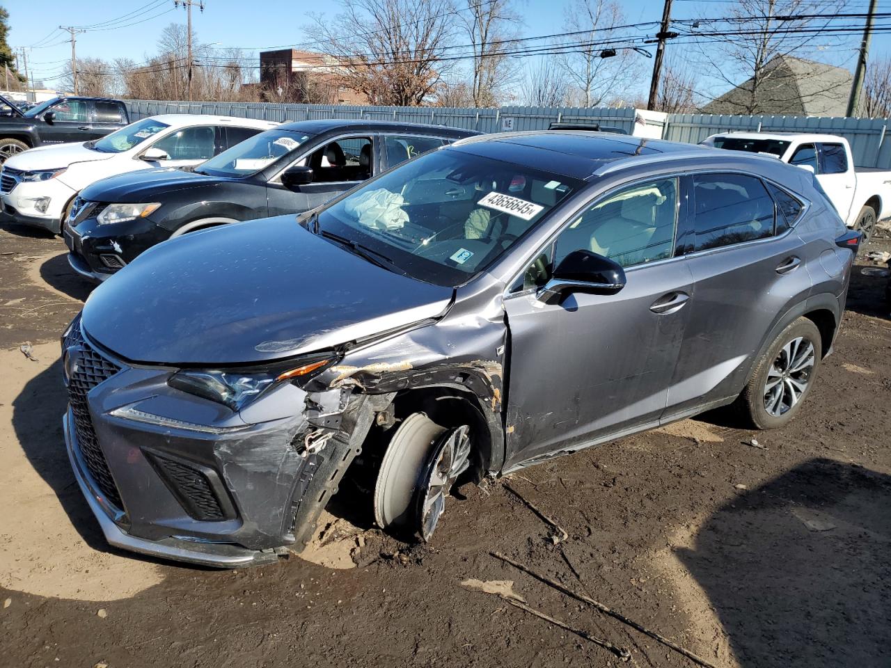2021 Lexus NX - Image 1