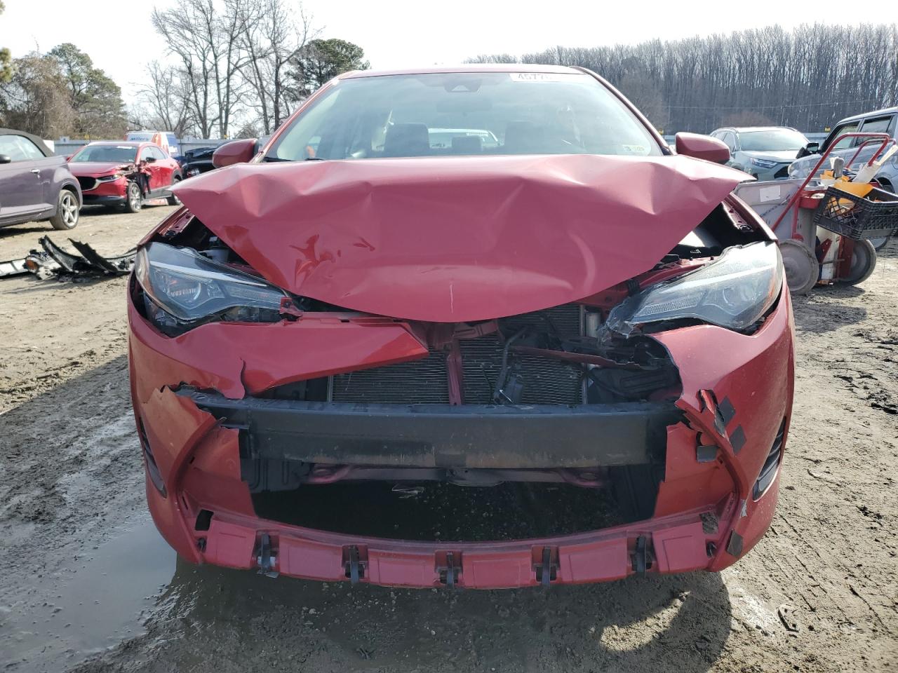 2019 Toyota Corolla - Image 5