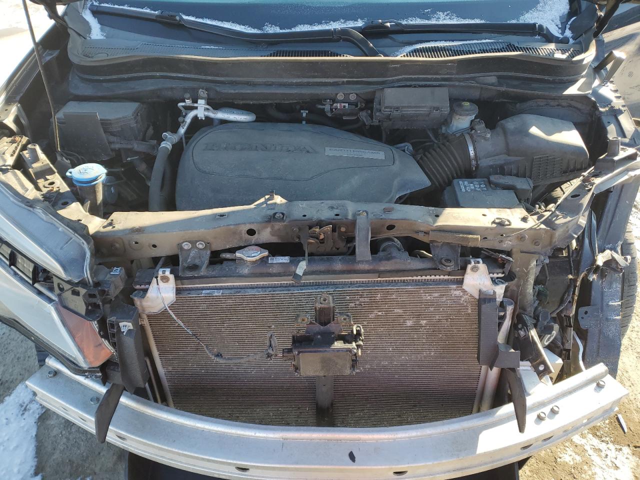 2019 Honda Passport - Image 12