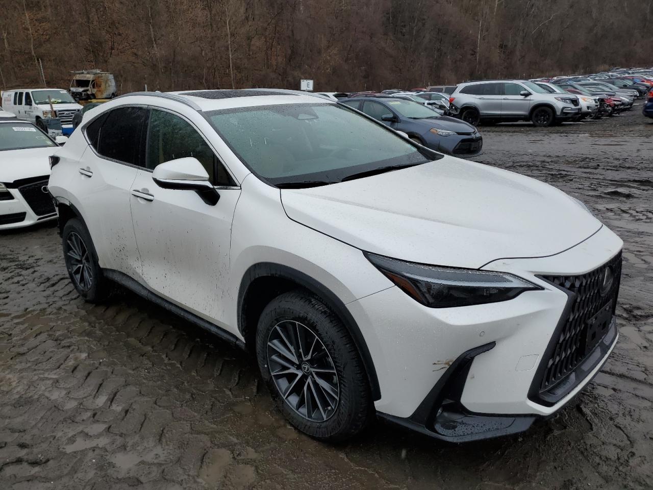 2022 Lexus NX - Image 4