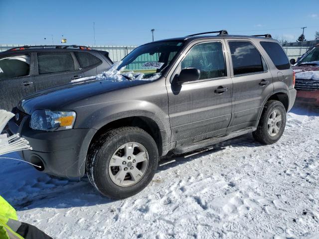 2006 Ford Escape Xlt