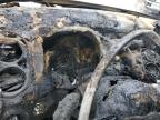 2016 Volkswagen Tiguan S for Sale in Florence, MS - Burn