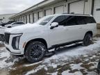 2025 CADILLAC ESCALADE ESV SPORT PLATINUM a la Venta en Copart KY - LOUISVILLE