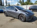 2023 Tesla Model Y  en Venta en Miami, FL - Front End