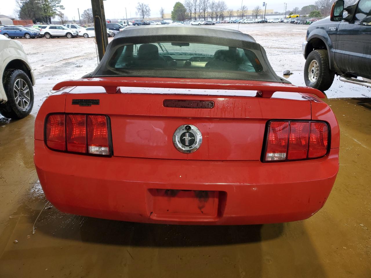 2005 Ford Mustang - Image 6
