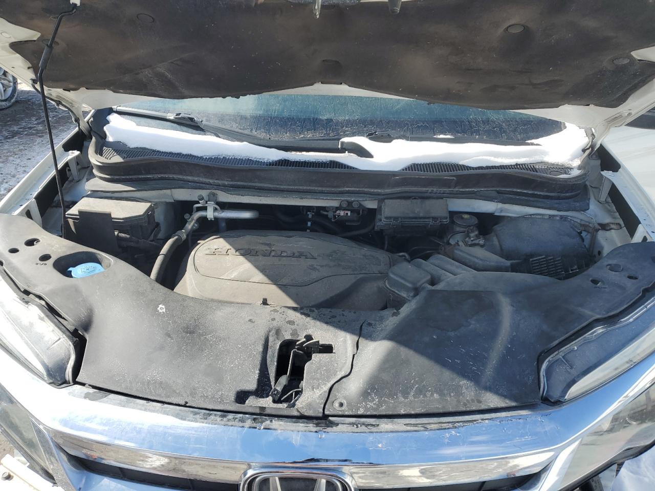 5FNYF6H55KB043645 HONDA PILOT 2019