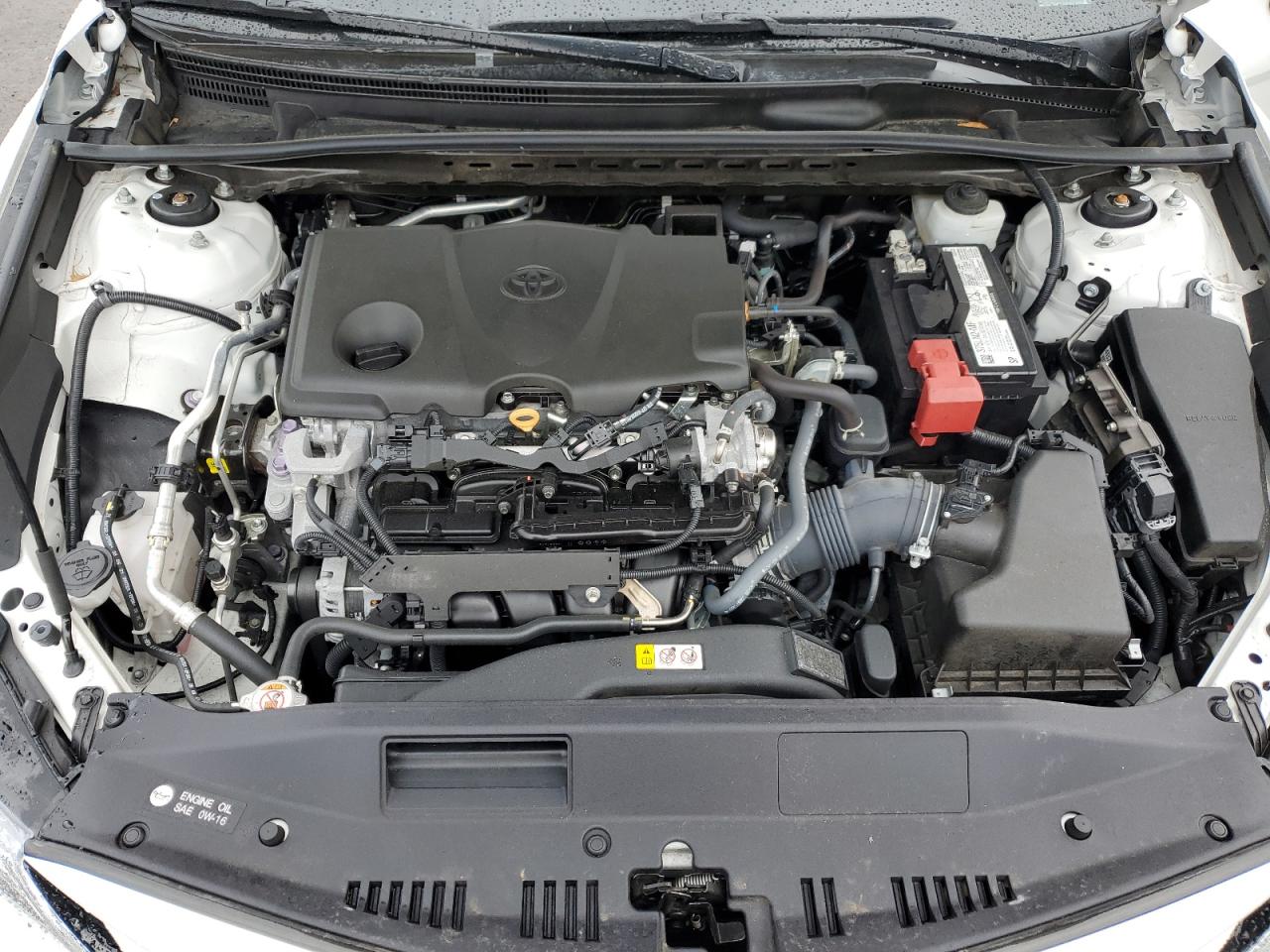 4T1F11BK4NU067496 TOYOTA CAMRY 2022