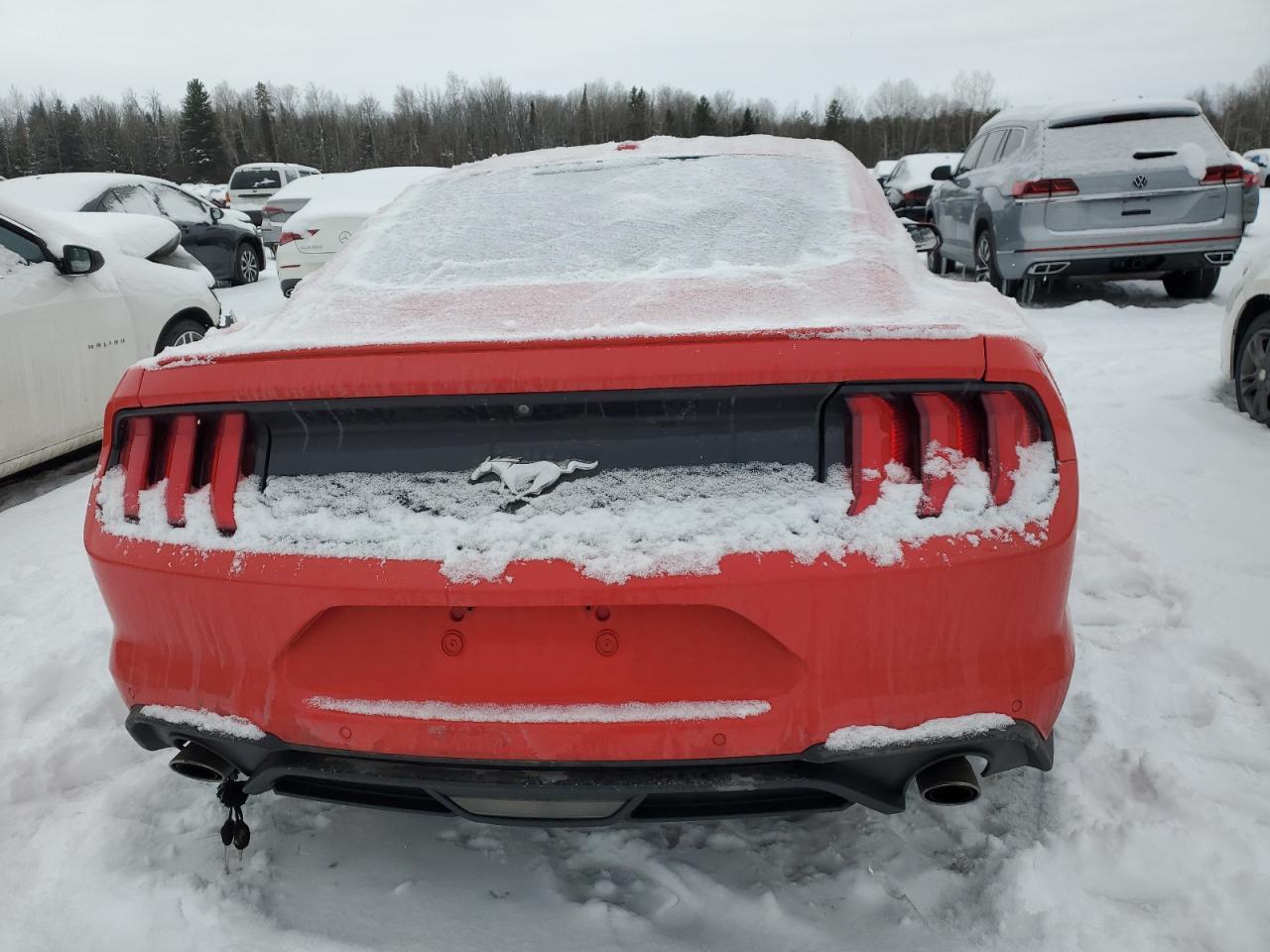 1FA6P8TH5K5102976 FORD ALL Models 2019