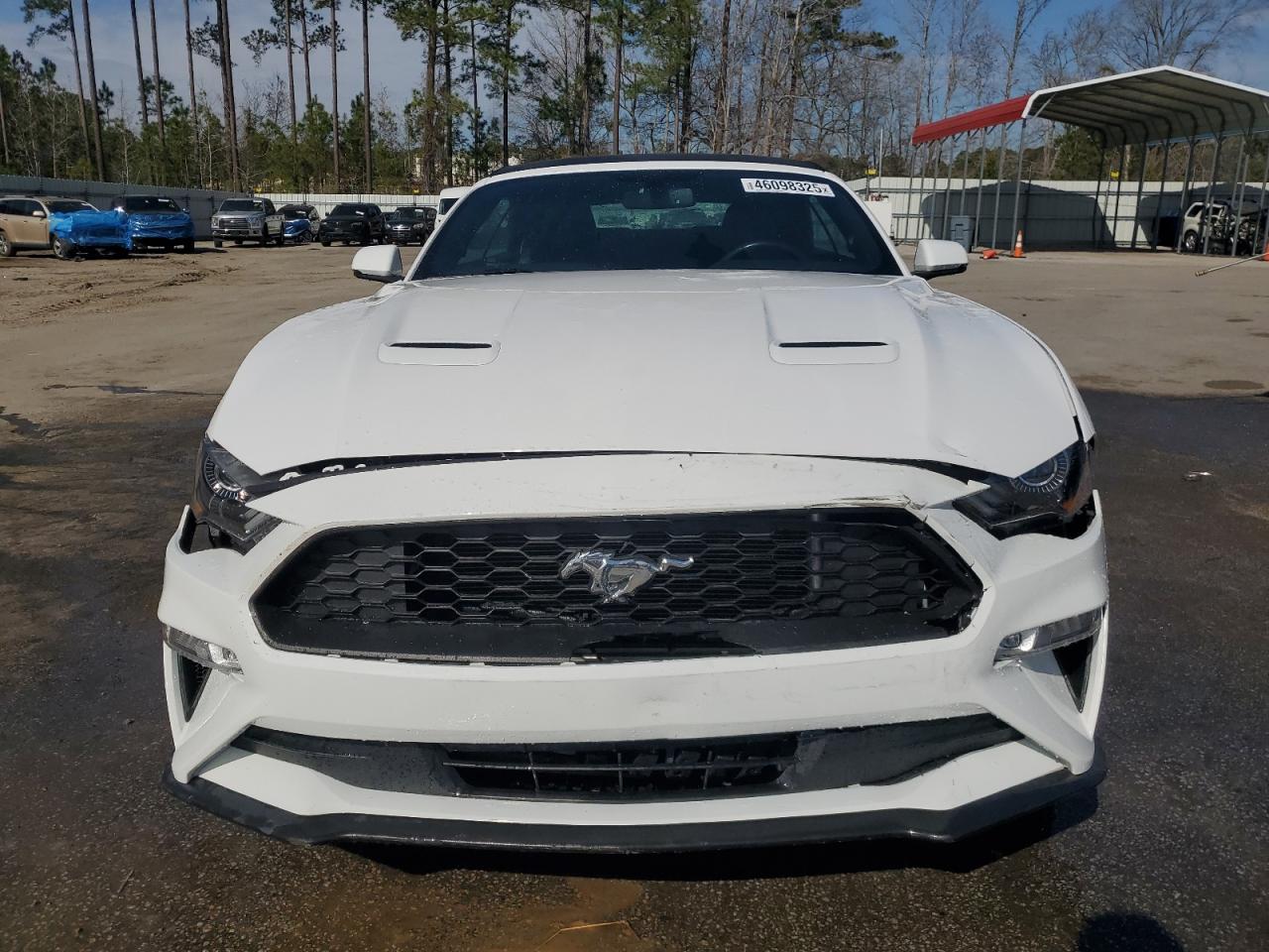 1FATP8UHXK5171227 FORD ALL Models 2019