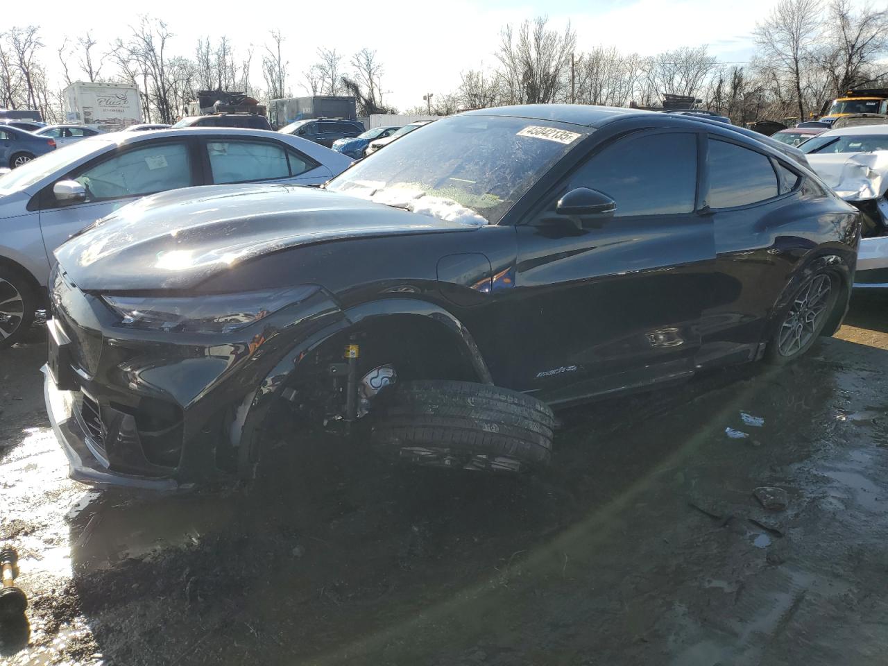 2024 Ford Mustang Mach-E Gt for Sale in Baltimore, MD - Front End