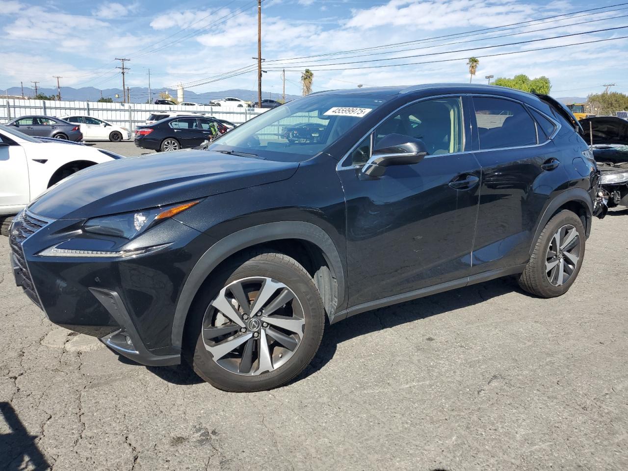 2020 Lexus NX - Image 1