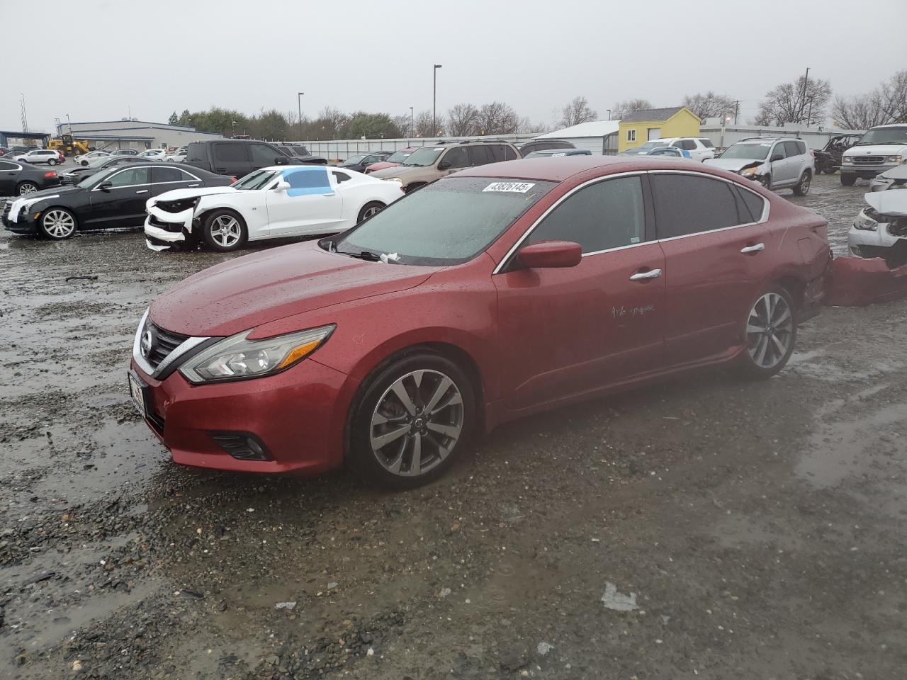 1N4AL3AP7HC113744 NISSAN ALTIMA 2017